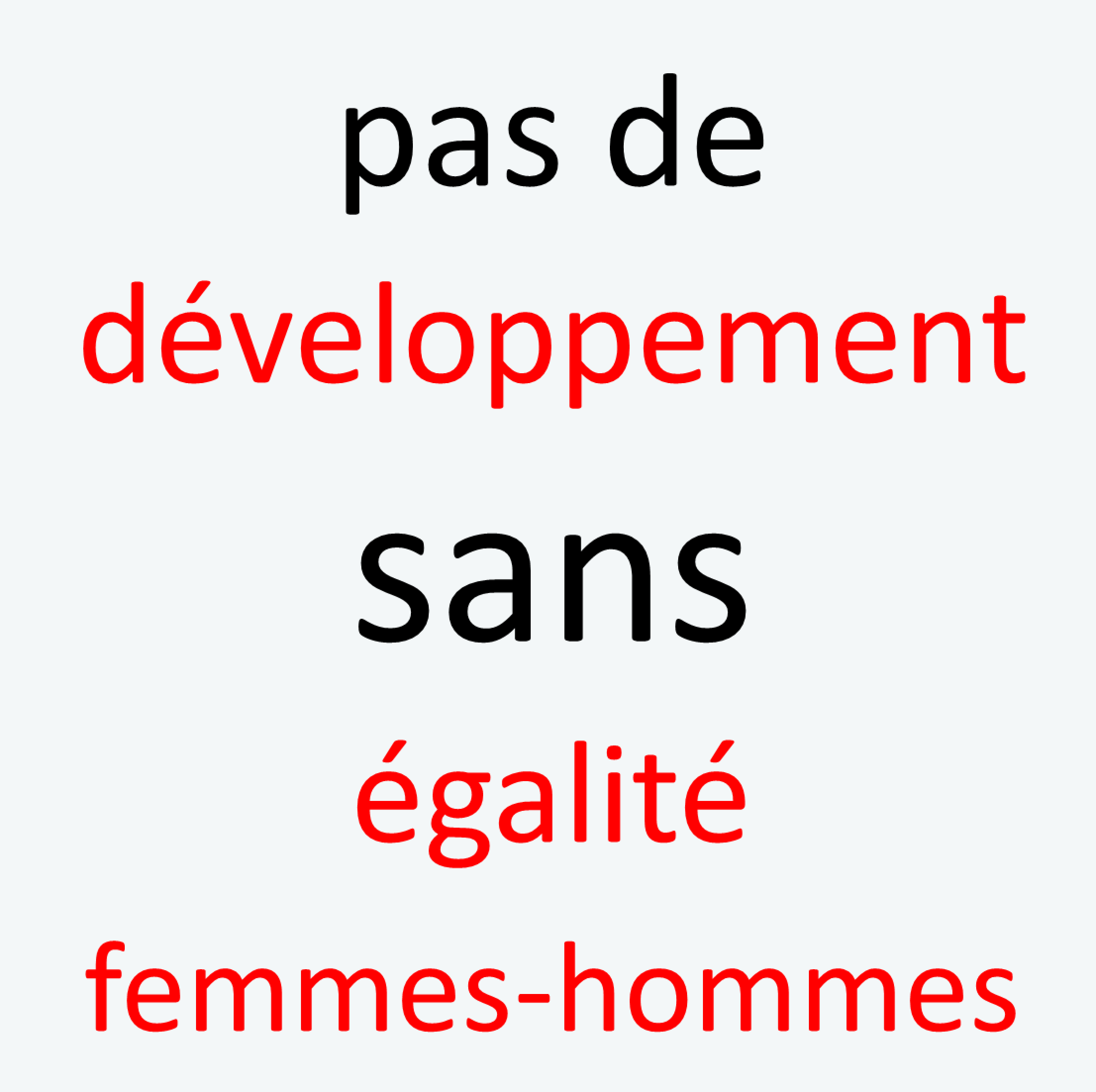 Visuel : Pas de développement sans égalité femmes-hommes